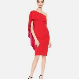 Carmen Marc Valvo Infusion Red/ Pink Overlay Cape One-Shoulder Cocktai…